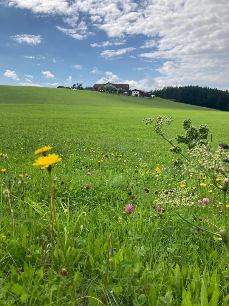 Plattenberger Hof Waging am See