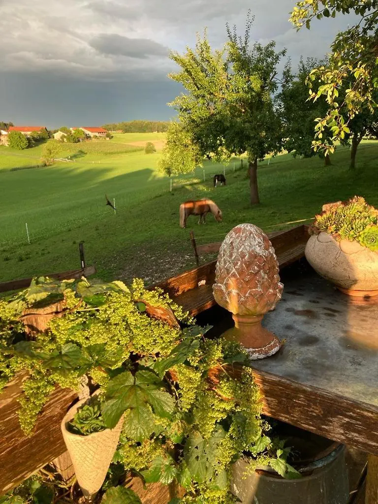 Plattenberger Hof Waging am See Vakantieboerderij