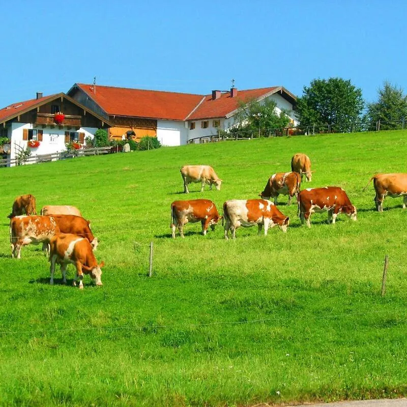 Plattenberger Hof Waging am See Vakantieboerderij